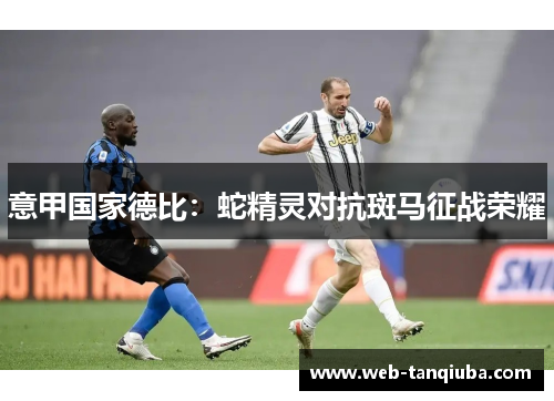 意甲国家德比:蛇精灵对抗斑马征战荣耀